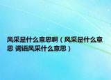風(fēng)采是什么意思?。L(fēng)采是什么意思 詞語風(fēng)采什么意思）