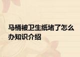 馬桶被衛(wèi)生紙堵了怎么辦知識介紹