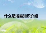 什么是浴霸知識介紹