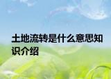 土地流轉(zhuǎn)是什么意思知識(shí)介紹