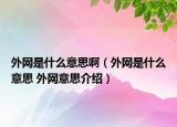 外網(wǎng)是什么意思?。ㄍ饩W(wǎng)是什么意思 外網(wǎng)意思介紹）