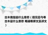 古木青提是什么意思（但見悲鳥號古木是什么意思 蜀道難原文及譯文）