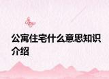 公寓住宅什么意思知識(shí)介紹