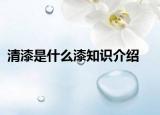 清漆是什么漆知識(shí)介紹