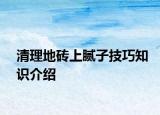 清理地磚上膩子技巧知識介紹