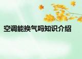 空調(diào)能換氣嗎知識介紹
