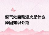 燃氣灶自動熄火是什么原因知識介紹