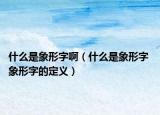 什么是象形字啊（什么是象形字 象形字的定義）