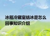 冰箱冷藏室結(jié)冰是怎么回事知識介紹