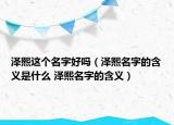 澤熙這個(gè)名字好嗎（澤熙名字的含義是什么 澤熙名字的含義）