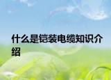 什么是鎧裝電纜知識(shí)介紹