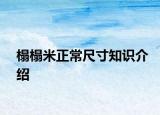 榻榻米正常尺寸知識(shí)介紹