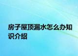 房子屋頂漏水怎么辦知識介紹
