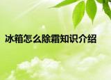 冰箱怎么除霜知識介紹