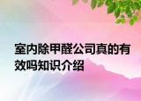 室內除甲醛公司真的有效嗎知識介紹
