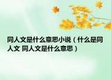 同人文是什么意思小說（什么是同人文 同人文是什么意思）