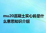 mu20混凝土實心磚是什么意思知識介紹