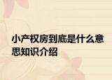 小產(chǎn)權(quán)房到底是什么意思知識(shí)介紹