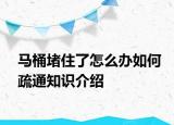 馬桶堵住了怎么辦如何疏通知識介紹