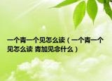 一個(gè)青一個(gè)見怎么讀（一個(gè)青一個(gè)見怎么讀 青加見念什么）