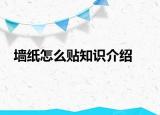 墻紙?jiān)趺促N知識(shí)介紹