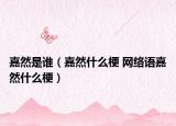 嘉然是誰(shuí)（嘉然什么梗 網(wǎng)絡(luò)語(yǔ)嘉然什么梗）