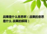 戰(zhàn)栗是什么意思?。☉?zhàn)栗的意思是什么 戰(zhàn)栗的解釋）