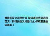 鮮艷的反義詞是什么 你知道這些詞語(yǔ)嗎英文（鮮艷的反義詞是什么 你知道這些詞語(yǔ)嗎）