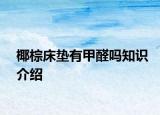 椰棕床墊有甲醛嗎知識(shí)介紹