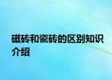 磁磚和瓷磚的區(qū)別知識介紹