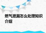 燃氣泄漏怎么處理知識介紹