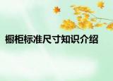 櫥柜標(biāo)準(zhǔn)尺寸知識介紹