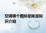 空調(diào)哪個(gè)圖標(biāo)是除濕知識(shí)介紹