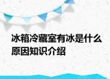 冰箱冷藏室有冰是什么原因知識(shí)介紹