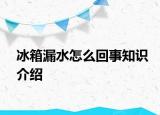 冰箱漏水怎么回事知識(shí)介紹