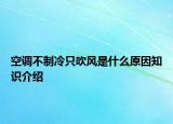 空調(diào)不制冷只吹風(fēng)是什么原因知識(shí)介紹