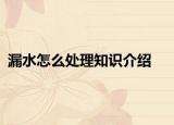 漏水怎么處理知識介紹