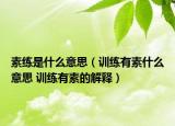 素練是什么意思（訓練有素什么意思 訓練有素的解釋）