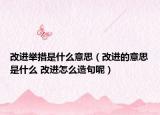改進(jìn)舉措是什么意思（改進(jìn)的意思是什么 改進(jìn)怎么造句呢）