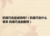 機緣巧合是成語嗎?（機緣巧合什么意思 機緣巧合的解釋）