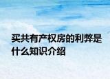 買共有產(chǎn)權(quán)房的利弊是什么知識介紹