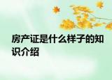房產(chǎn)證是什么樣子的知識(shí)介紹