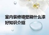 室內(nèi)裝修墻壁刷什么漆好知識介紹