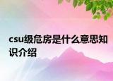 csu級(jí)危房是什么意思知識(shí)介紹