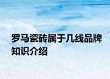 羅馬瓷磚屬于幾線品牌知識介紹