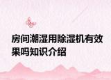 房間潮濕用除濕機(jī)有效果嗎知識(shí)介紹