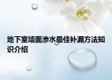 地下室墻面滲水最佳補(bǔ)漏方法知識(shí)介紹