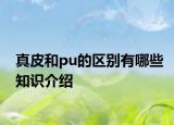 真皮和pu的區(qū)別有哪些知識(shí)介紹