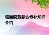 墻面脫落怎么修補(bǔ)知識(shí)介紹