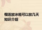 榴蓮放冰箱可以放幾天知識(shí)介紹